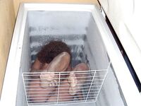 Brazilian man froze his wife in a deep freezer.