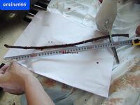 Chinese woman raped to death and gets a piece of wood insert