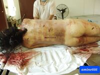 Chinese woman raped to death and gets a piece of wood insert