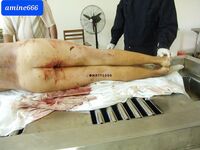 Chinese woman raped to death and gets a piece of wood insert