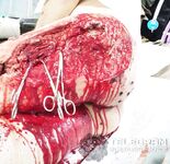 Photo collection from a Russian medic