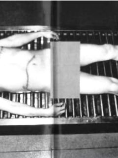Hideo Murai’s Autopsy