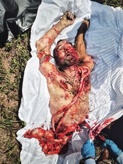Fatal Crash