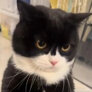 liljapboy