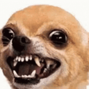 vore