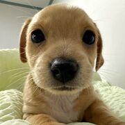 ltbaolong@yahoo.com.vn