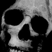GrinReaper