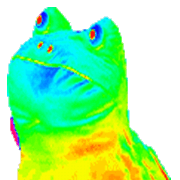 AJsFrogTurnedGay