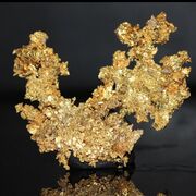 GoldAu79