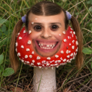 shroomweeg
