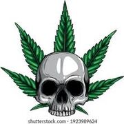 bitchhhhhhhhhhh449