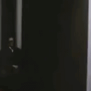 shotthedog