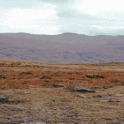 Fell Wanderer