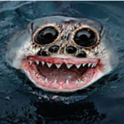 fishyweeg