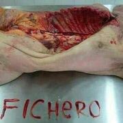 FICHERO_MAZNA