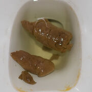 Mr.LongPoo