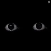 Iseeyou