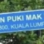 pukimak_koyak