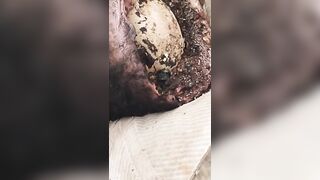 How TF He Is Still Alive !?