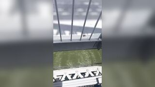 Man Jumps From A Tall Bridge In Rio, Dies