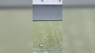 Man Jumps From A Tall Bridge In Rio, Dies