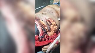 Man Gored To Death During A Bull Festival