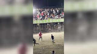 Man Gored To Death During A Bull Festival