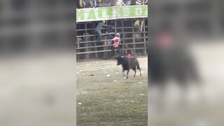Man Gored To Death During A Bull Festival