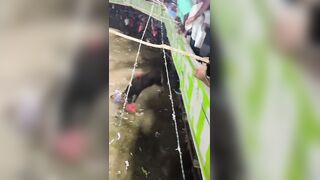 Man Gored To Death During A Bull Festival