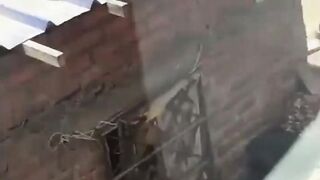 Junkie Caught On Camera Brutally Punching His Elderly Mom