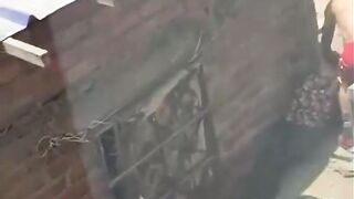 Junkie Caught On Camera Brutally Punching His Elderly Mom