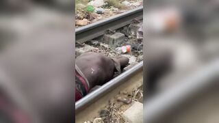 Walking On Tracks Was A Bad Idea