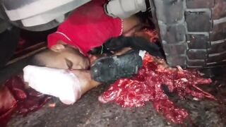 Motorcyclist Crushed by truck wheel