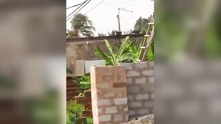 Private electrician who climbed the pole to resolve fault electrocuted