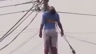 Private electrician who climbed the pole to resolve fault electrocuted