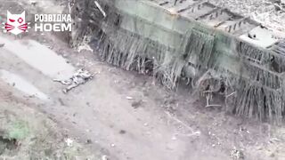 Ukrainian gourmet doggo tastes from some deceased russian invaders