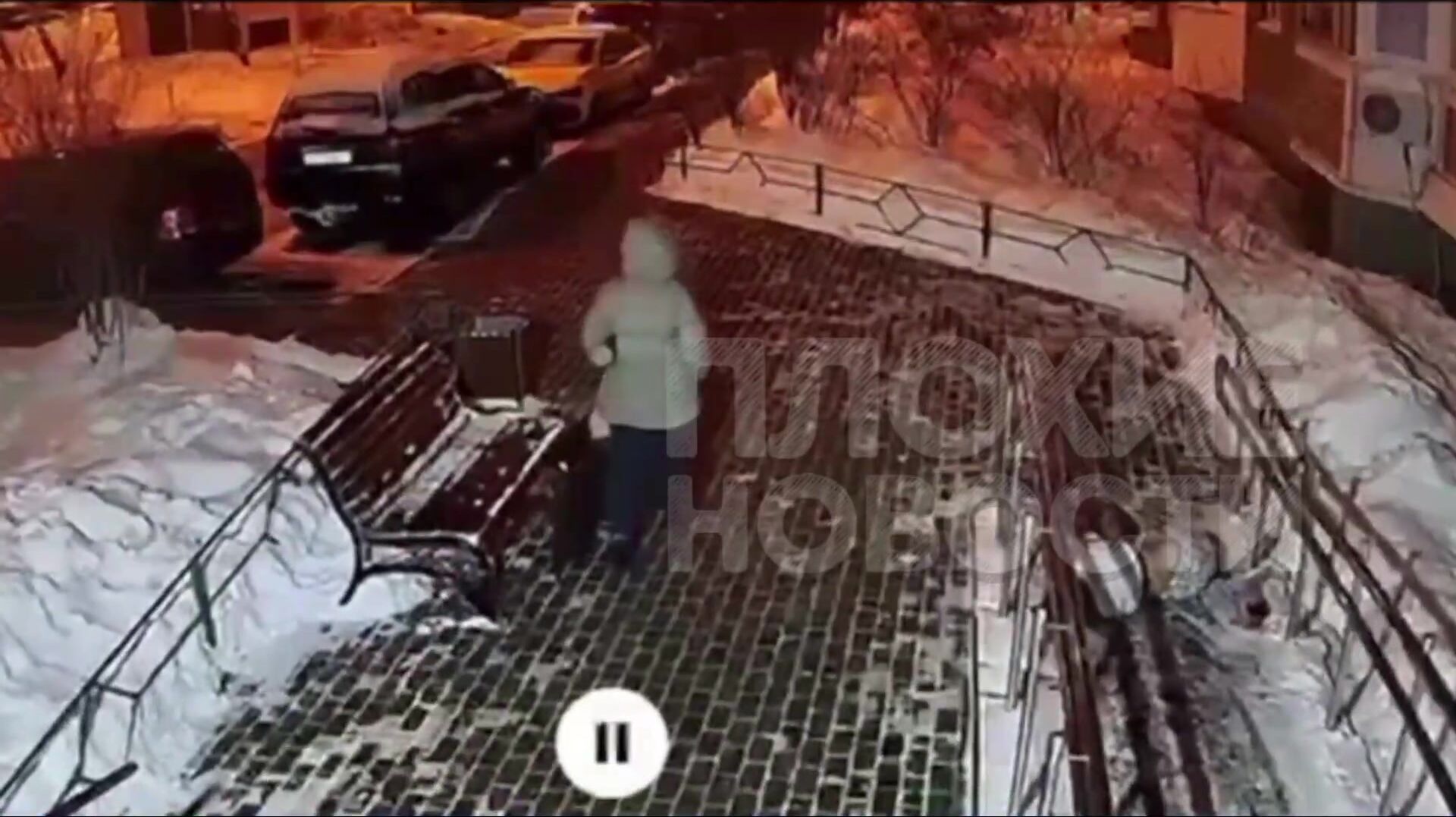 Young Female Jumps To Her Death