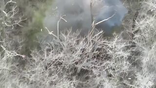 Another one at the end of their journey