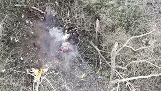 Another one at the end of their journey