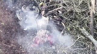 Another one at the end of their journey