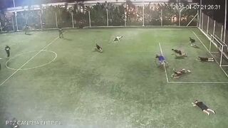 Assassins disguised as cops storm football pitch in Ecuador before executing 3 rivals