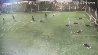 Assassins disguised as cops storm football pitch in Ecuador before executing 3 rivals