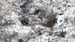 Cleaning of pork positions