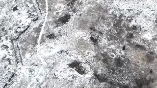 Cleaning of pork positions