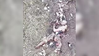 Food for magpies