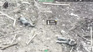 Self-liquidation of two RU occupiers