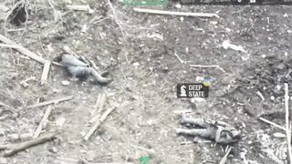 Self-liquidation of two RU occupiers