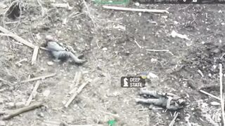 Self-liquidation of two RU occupiers