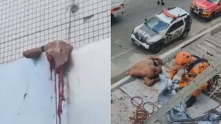 Man Ripped In Halves After Jumping From A Tall Building In Rio