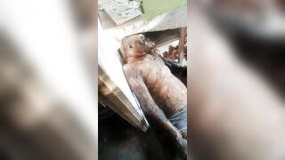 Rotten dead body of Chinese man living alone